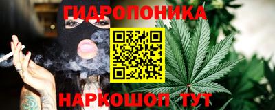 стаф Славгород