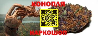 стаф Славгород