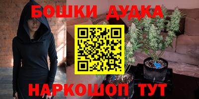 стаф Славгород